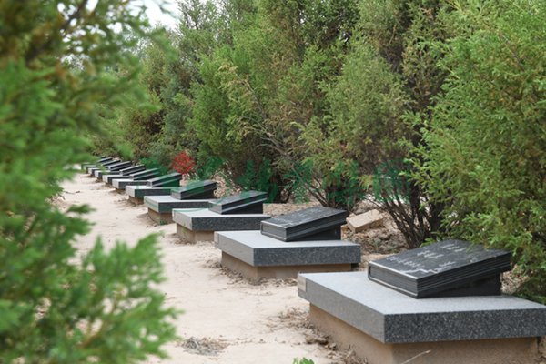 银娱优厚会717(中国)股份有限公司