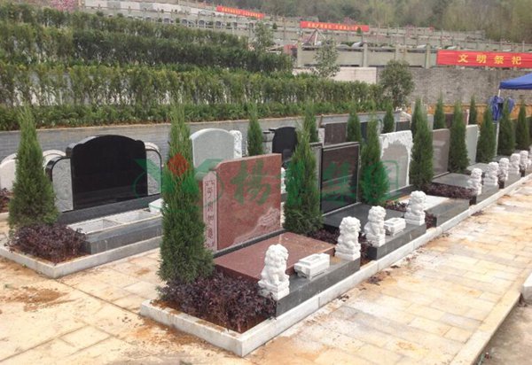 银娱优厚会717(中国)股份有限公司