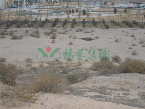 银娱优厚会717(中国)股份有限公司