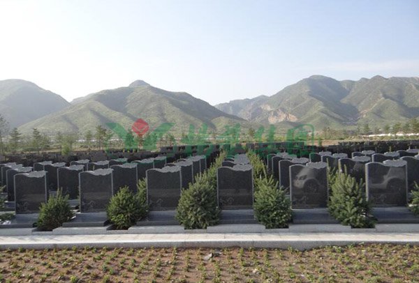 银娱优厚会717(中国)股份有限公司