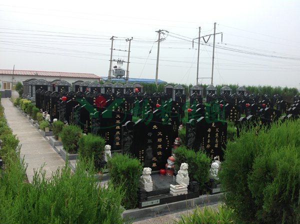 银娱优厚会717(中国)股份有限公司