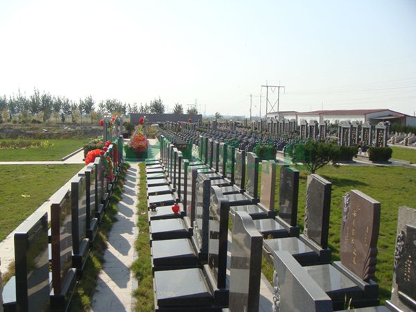 银娱优厚会717(中国)股份有限公司