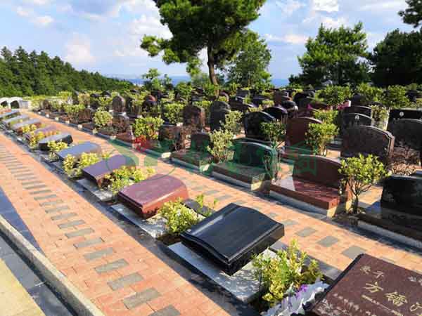 银娱优厚会717(中国)股份有限公司