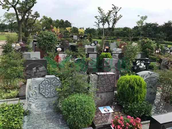 银娱优厚会717(中国)股份有限公司