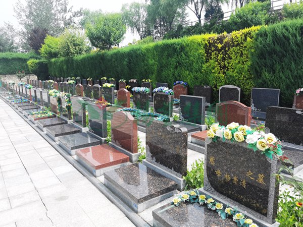 银娱优厚会717(中国)股份有限公司