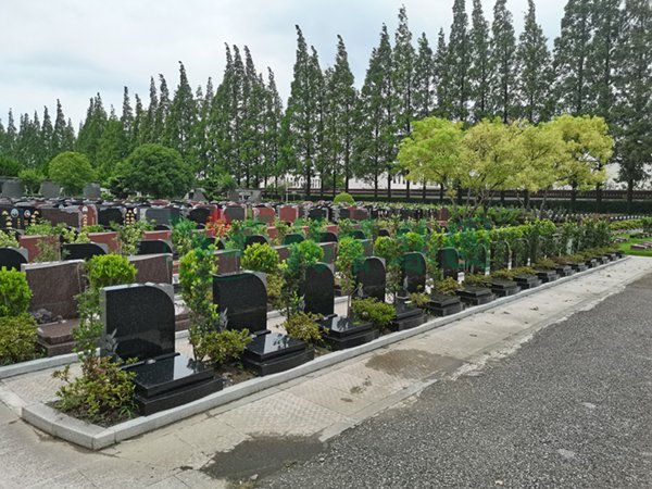 银娱优厚会717(中国)股份有限公司