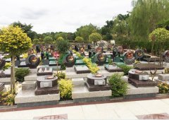 上；懔靶腔鹎