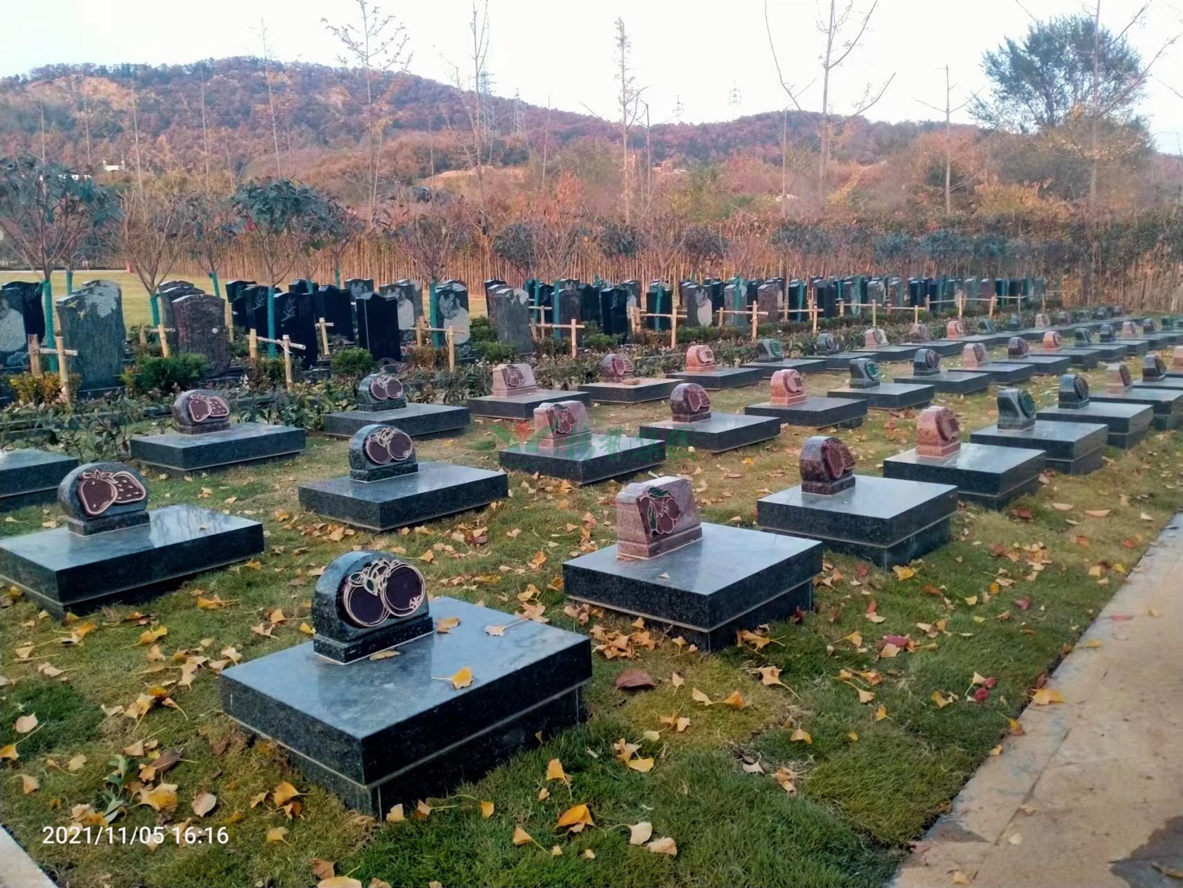 银娱优厚会717(中国)股份有限公司