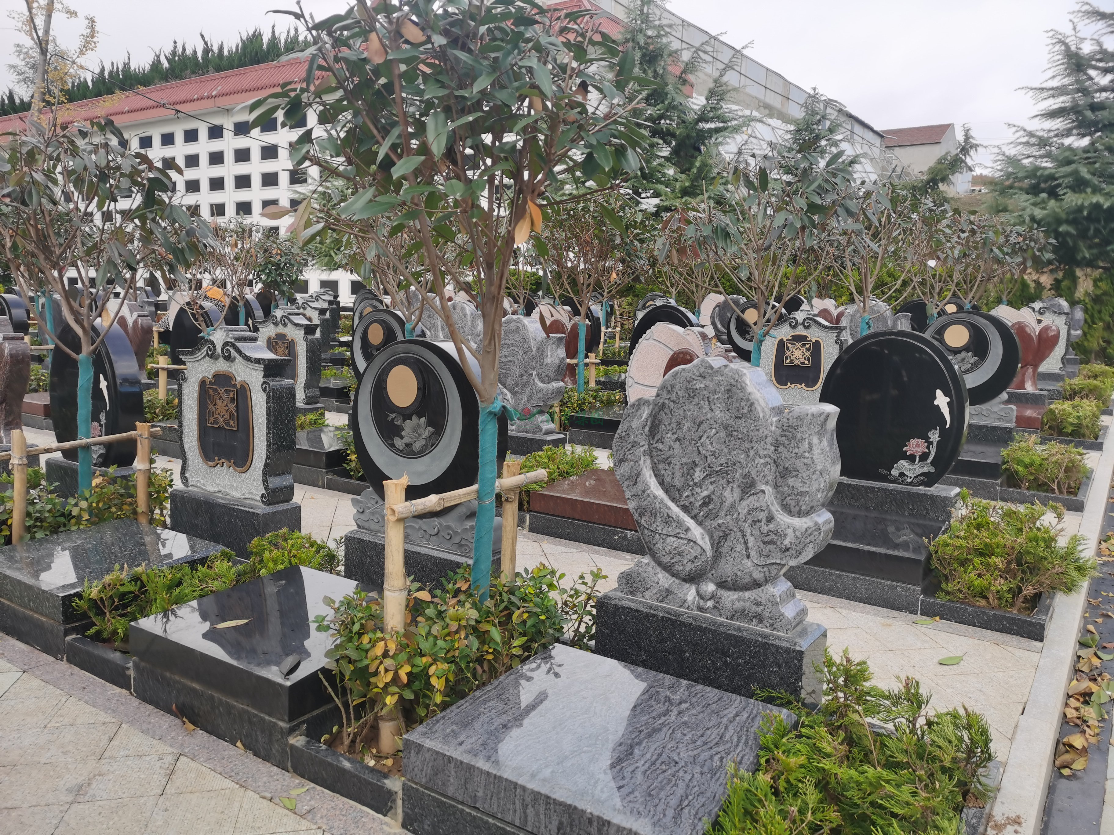 银娱优厚会717(中国)股份有限公司