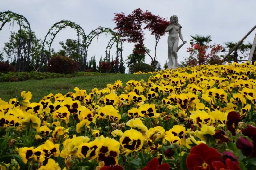 银娱优厚会717(中国)股份有限公司