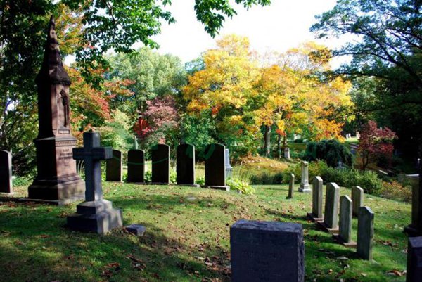 银娱优厚会717(中国)股份有限公司