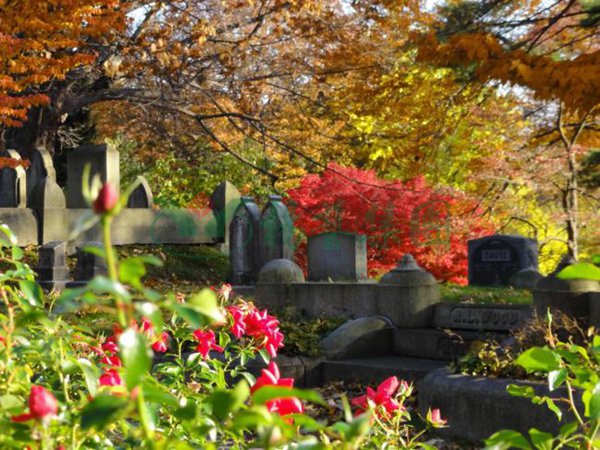 银娱优厚会717(中国)股份有限公司