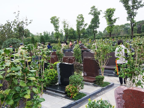 银娱优厚会717(中国)股份有限公司