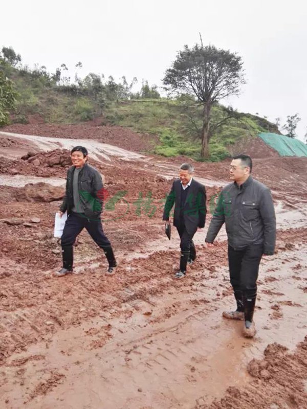 银娱优厚会717(中国)股份有限公司