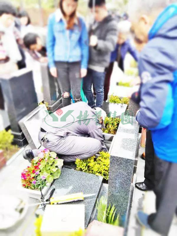 银娱优厚会717(中国)股份有限公司