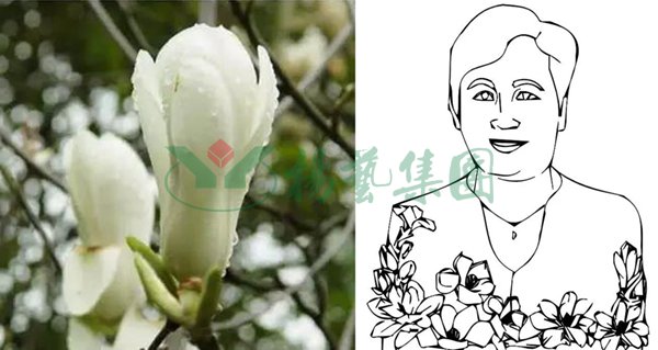 银娱优厚会717(中国)股份有限公司