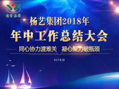 银娱优越会717集团2018年中总结汇报（提要）