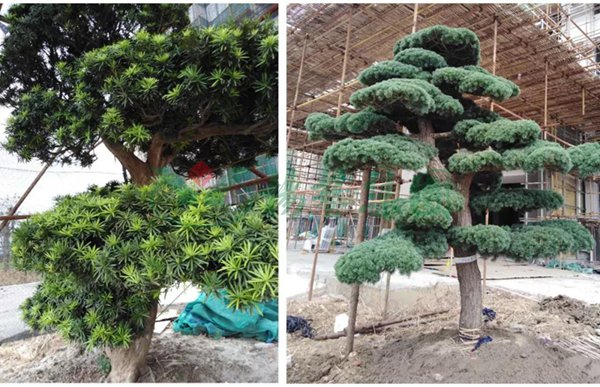 银娱优厚会717(中国)股份有限公司