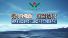 银娱优越会717集团2018年总结暨2019年工作部署会议召开