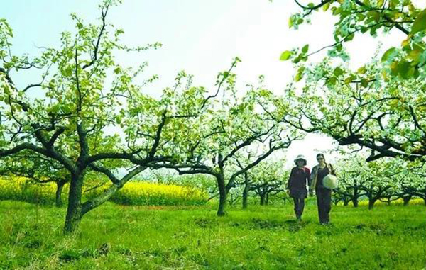 银娱优厚会717(中国)股份有限公司