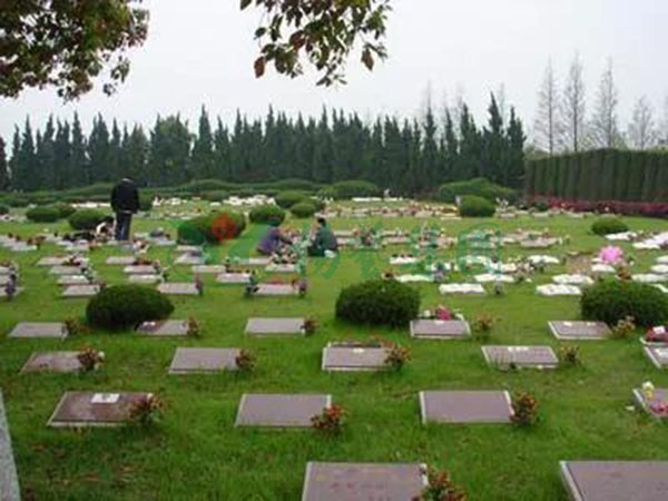 银娱优厚会717(中国)股份有限公司