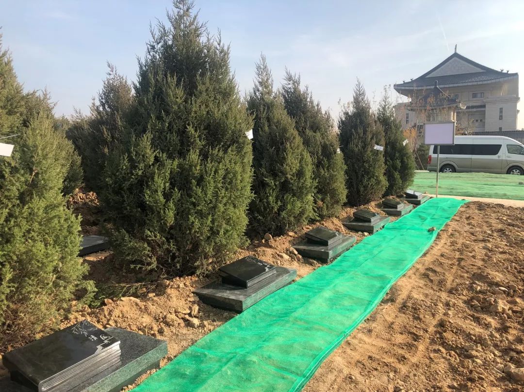 银娱优厚会717(中国)股份有限公司