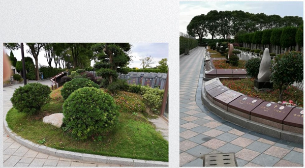 银娱优厚会717(中国)股份有限公司