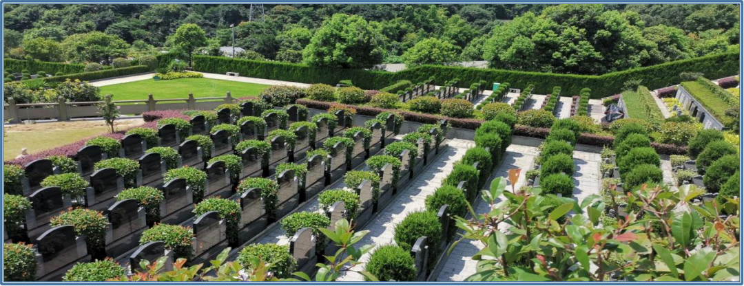 银娱优厚会717(中国)股份有限公司