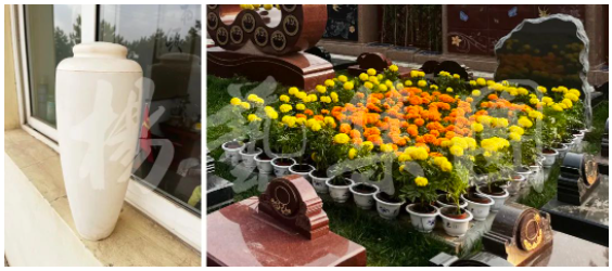 银娱优厚会717(中国)股份有限公司