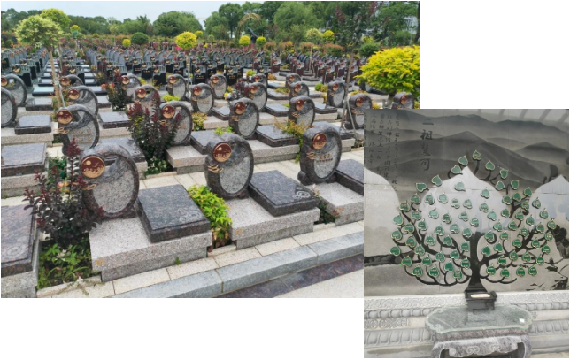 银娱优厚会717(中国)股份有限公司