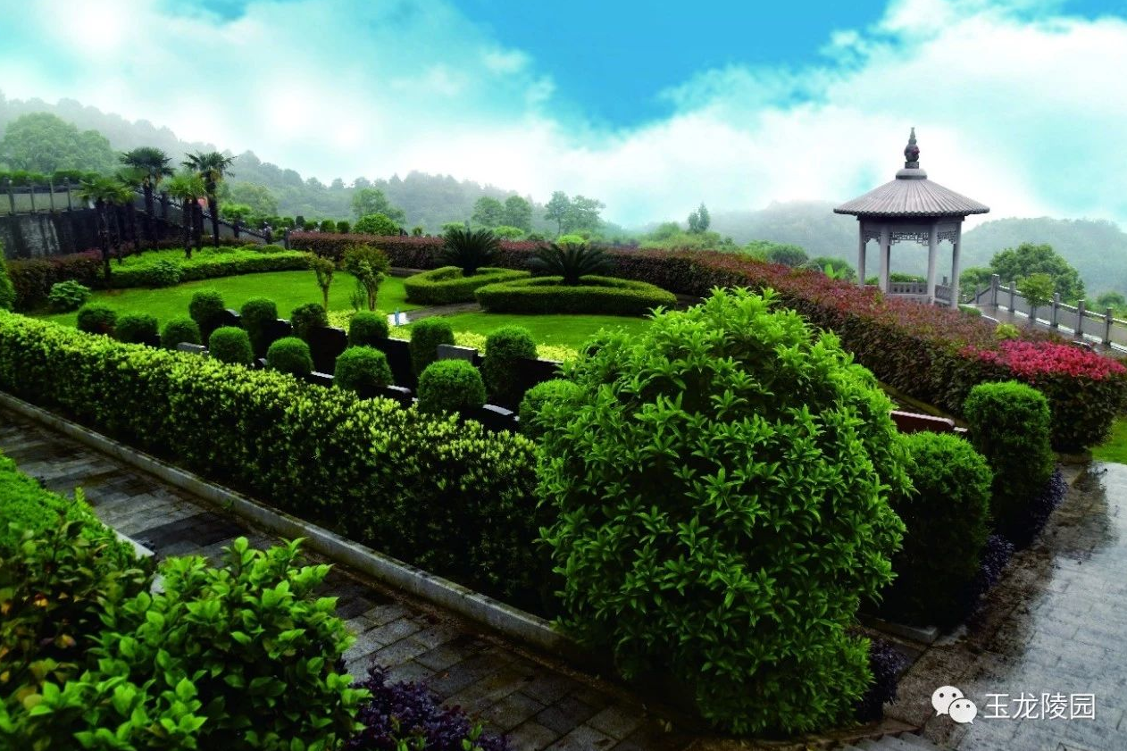 银娱优厚会717(中国)股份有限公司