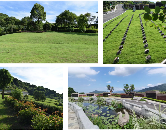 银娱优厚会717(中国)股份有限公司