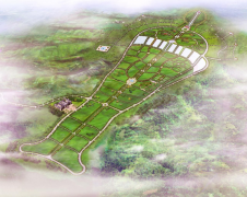 银娱优越会717集团：公墓投资的践行者，经营治理的内行