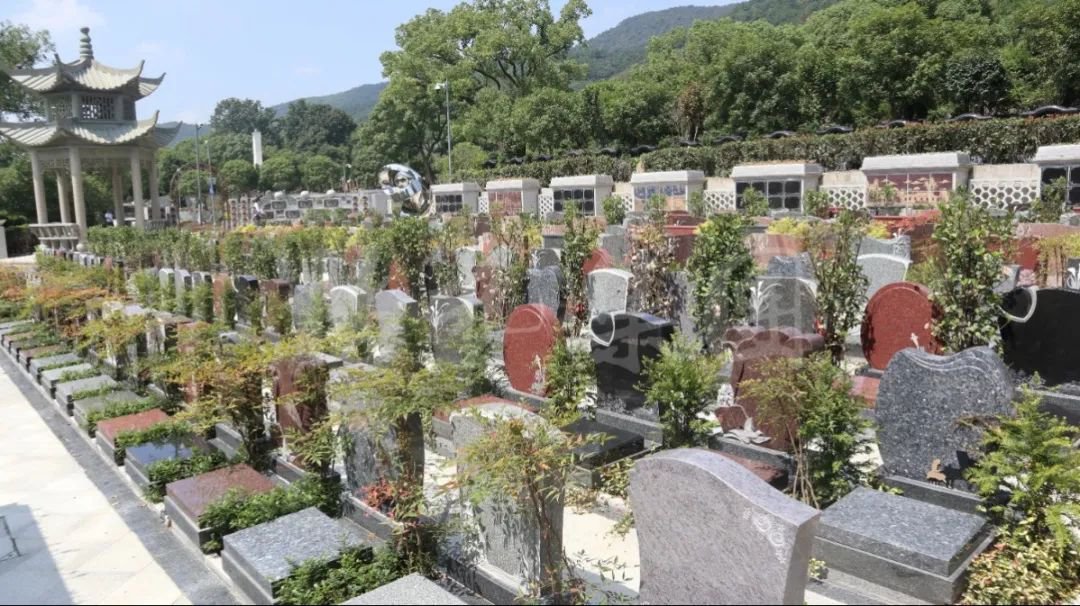 银娱优厚会717(中国)股份有限公司