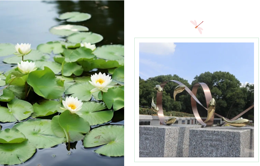 银娱优厚会717(中国)股份有限公司