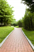 银娱优越会717路板砖为您打造安全宜人的步行环境