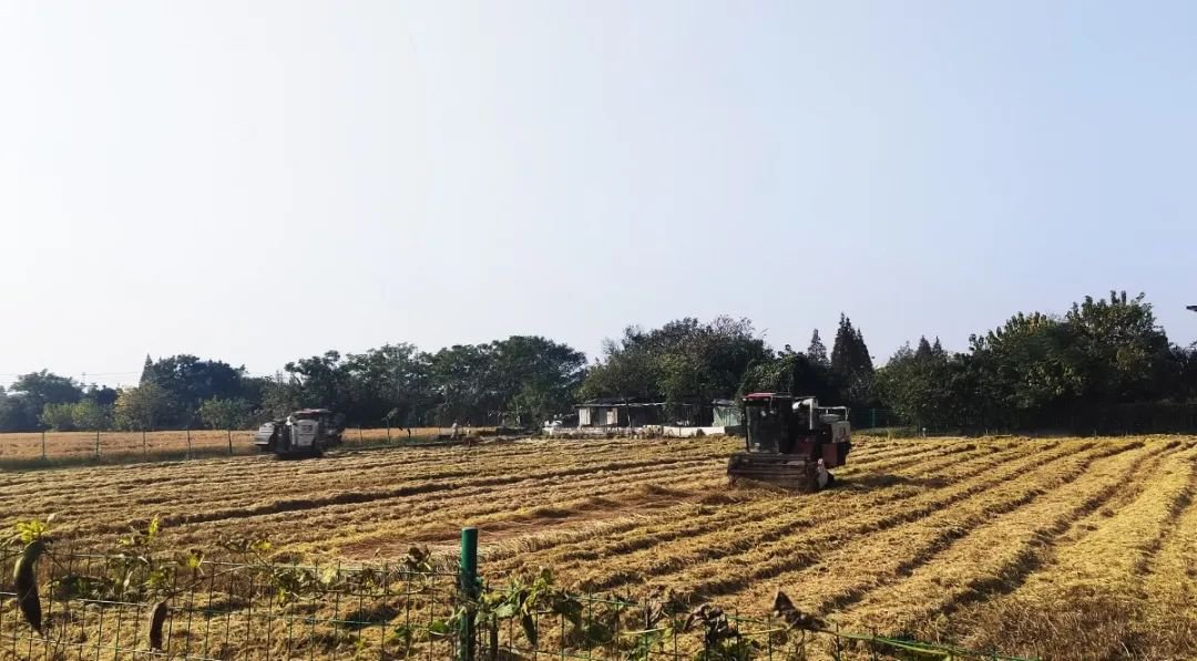 银娱优厚会717(中国)股份有限公司