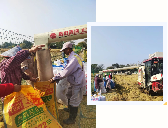 银娱优厚会717(中国)股份有限公司