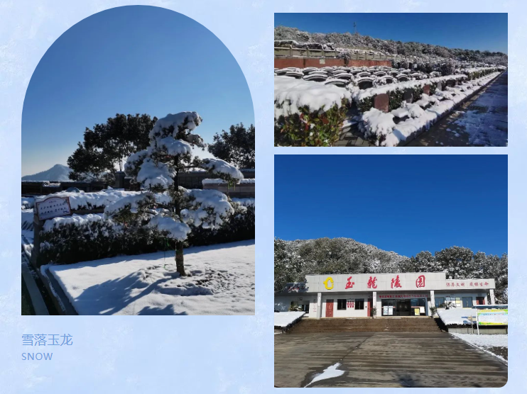 银娱优厚会717(中国)股份有限公司