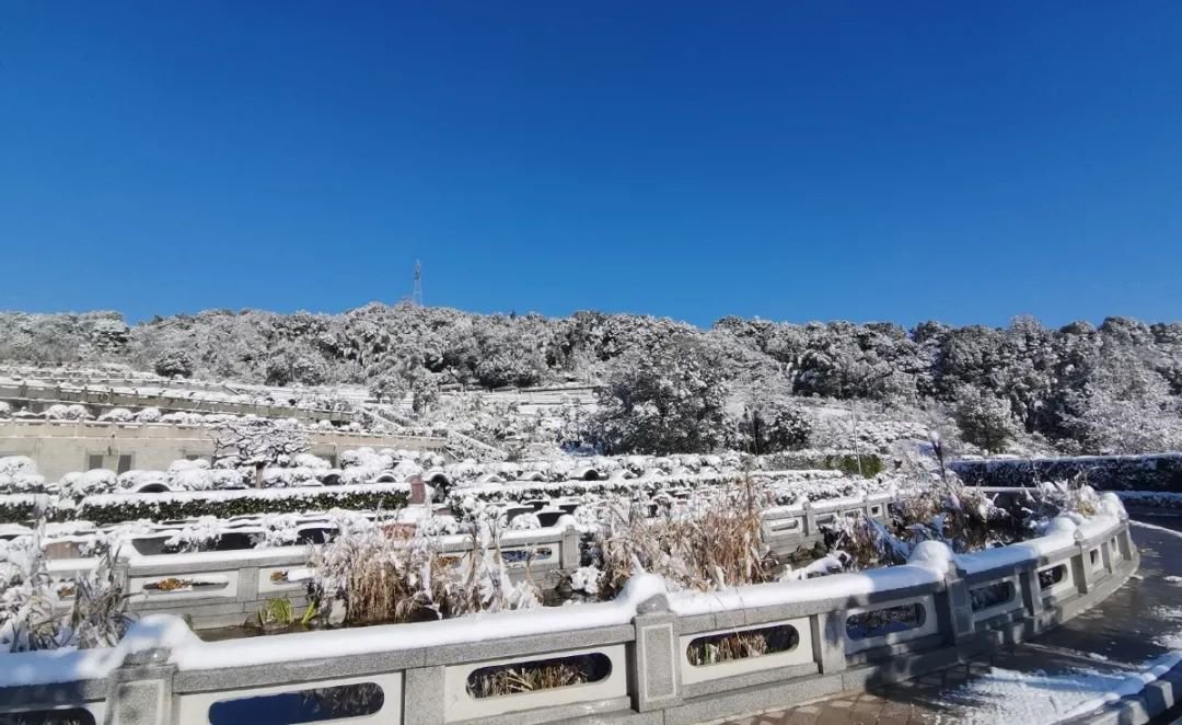 银娱优厚会717(中国)股份有限公司