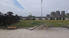 老墓园微刷新，助力城市人文关切