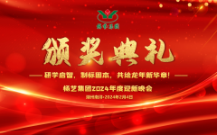 2024年银娱优越会717集团迎新春年会暨颁奖典礼盛猛进行