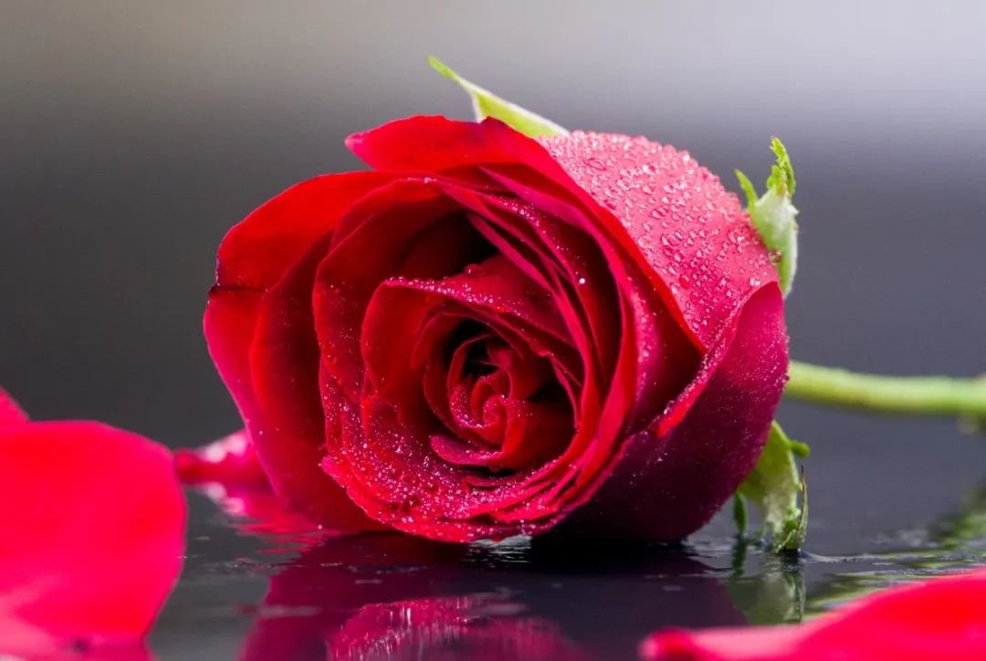 女神节 | 致敬“她”力量，共筑美好将来