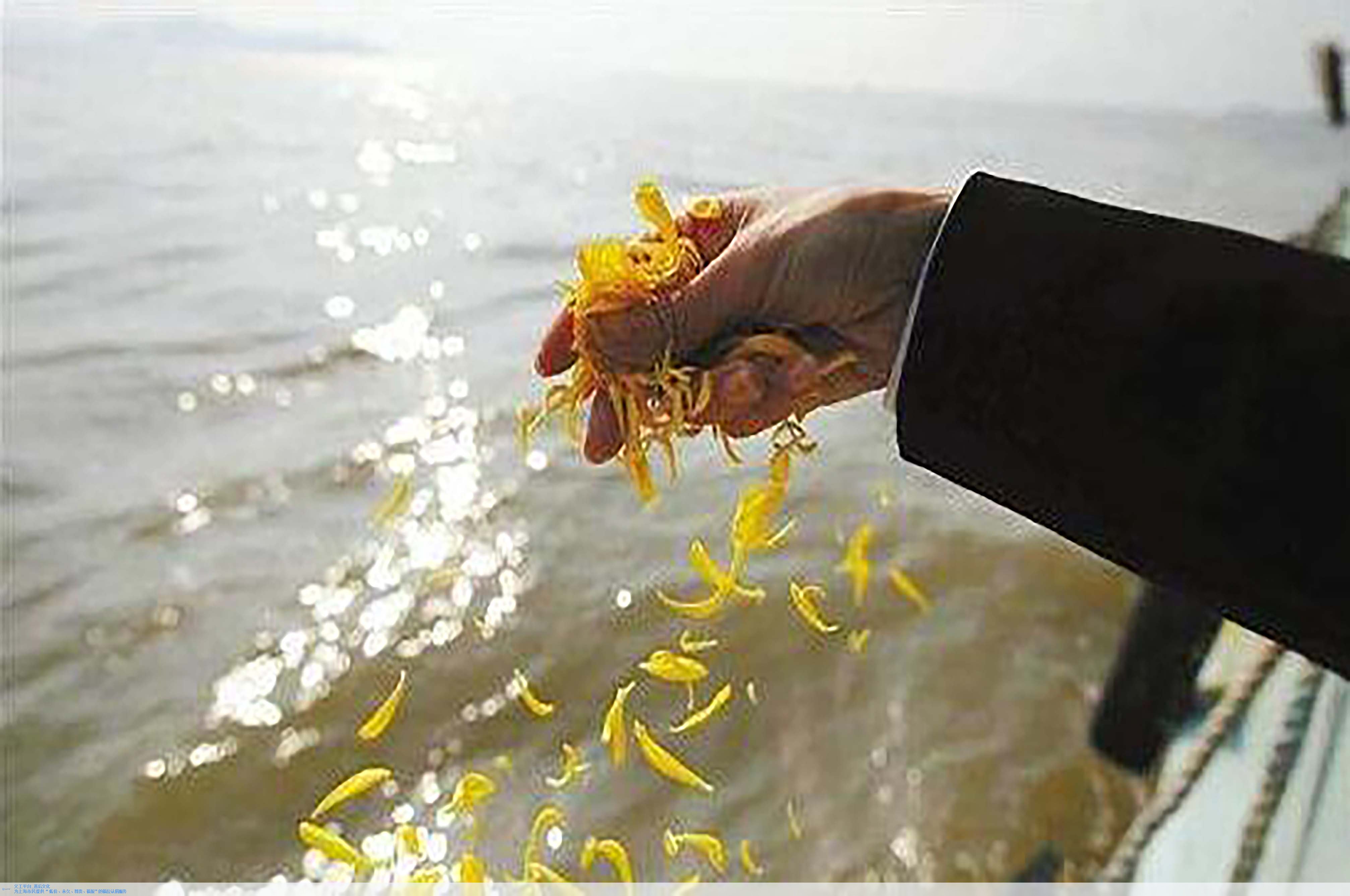 银娱优厚会717(中国)股份有限公司