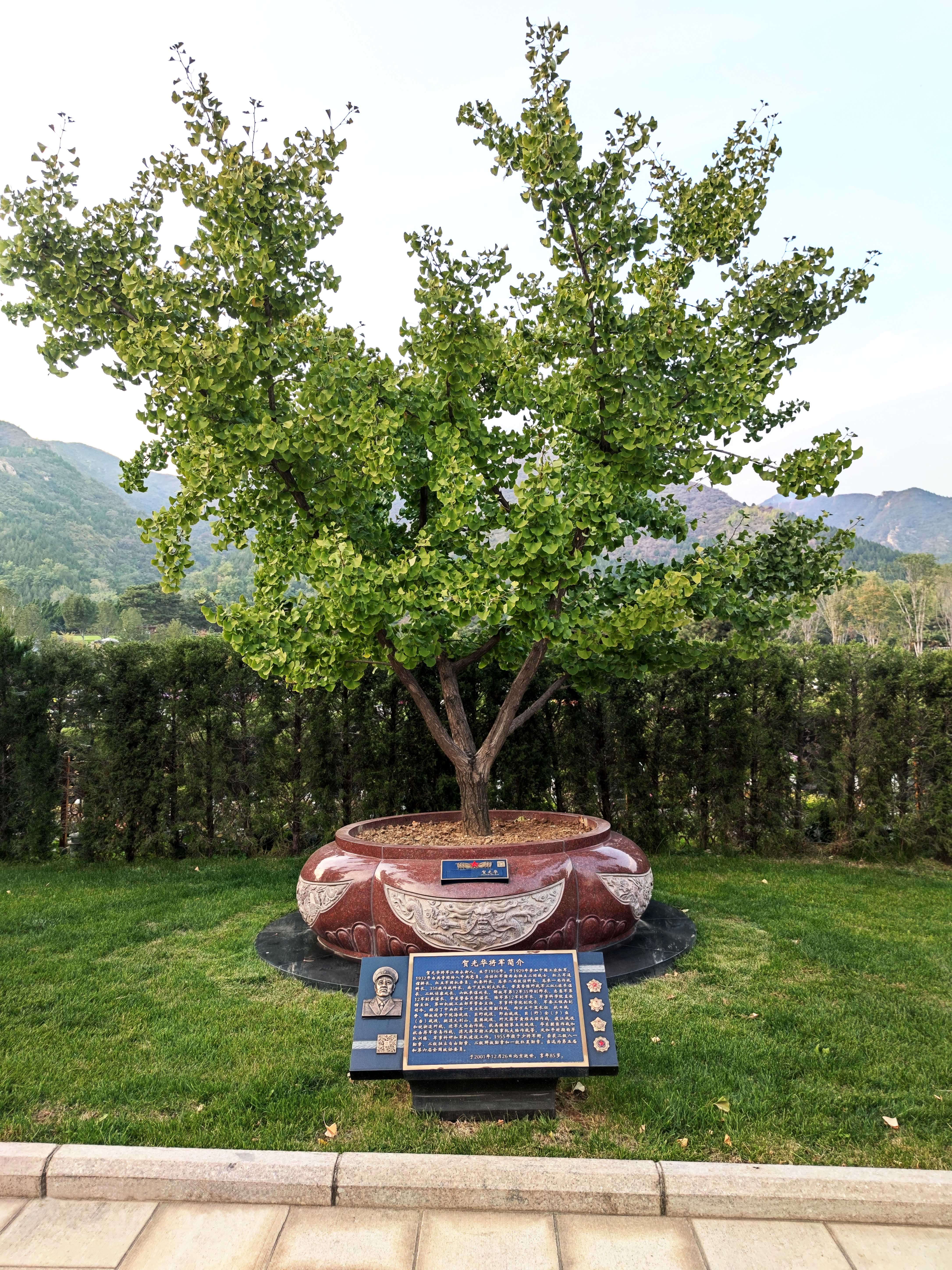 银娱优厚会717(中国)股份有限公司