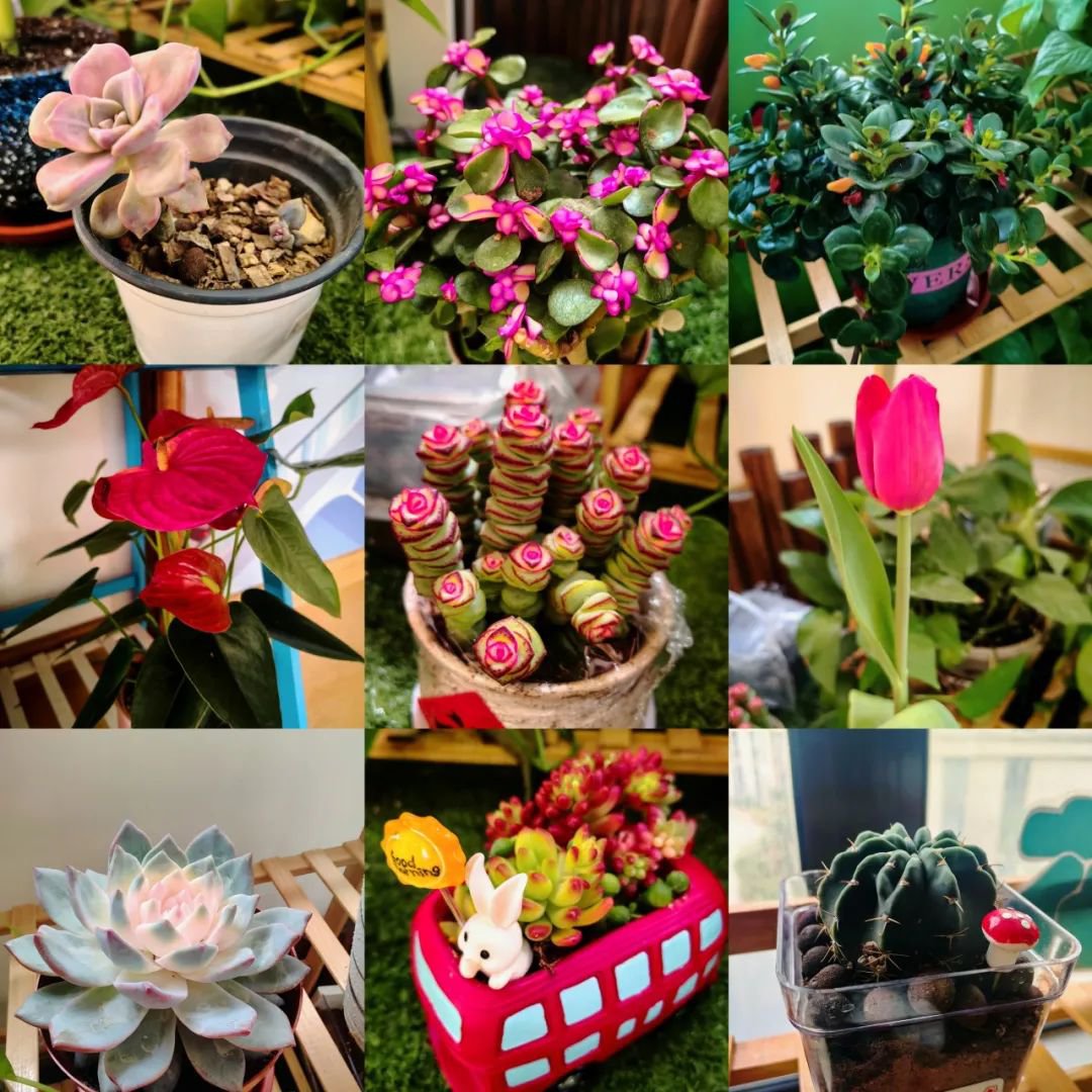 银娱优厚会717(中国)股份有限公司