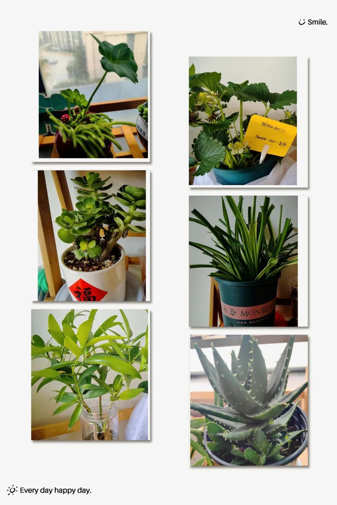 银娱优厚会717(中国)股份有限公司