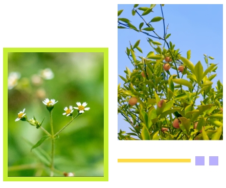 银娱优厚会717(中国)股份有限公司