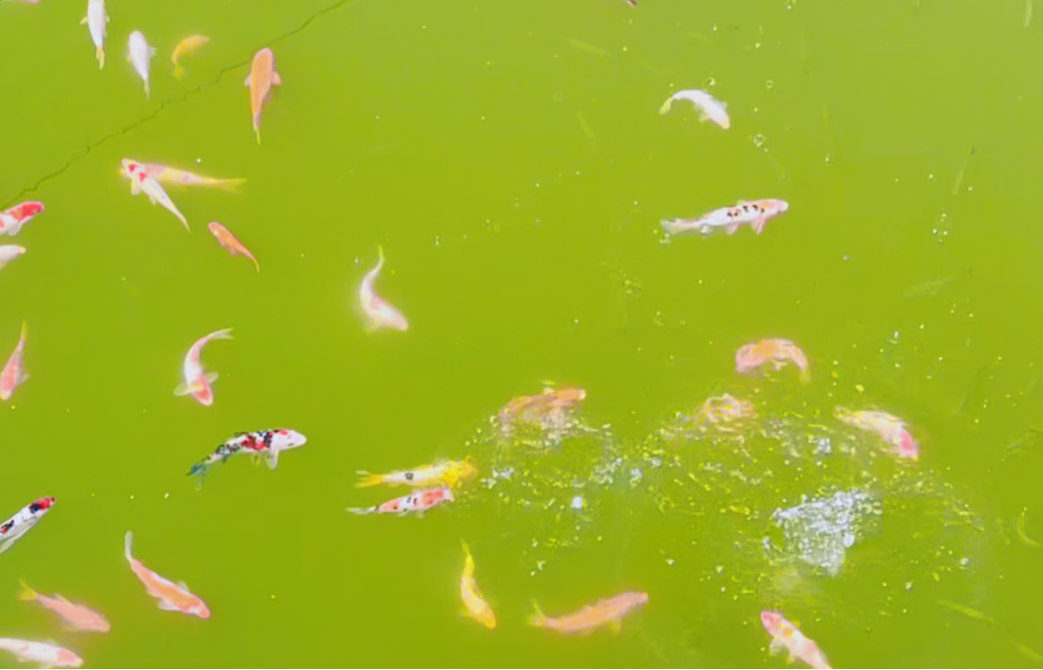 银娱优厚会717(中国)股份有限公司