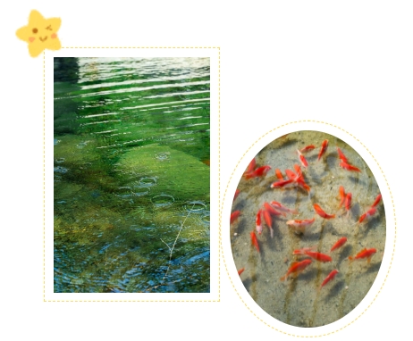 银娱优厚会717(中国)股份有限公司